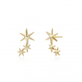 Starfish stud earrings size M