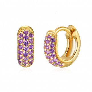 Purple zircons hoop earrings