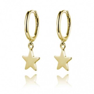 Star hoop earrings