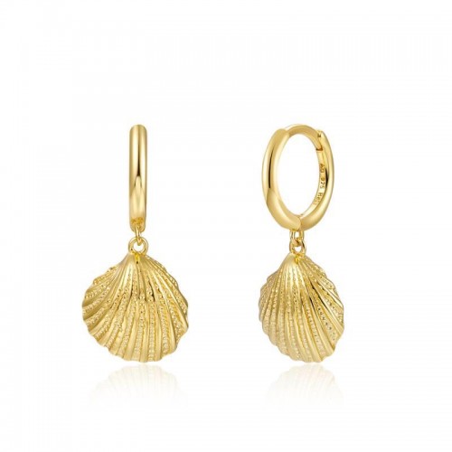 Seashell hoop earrings