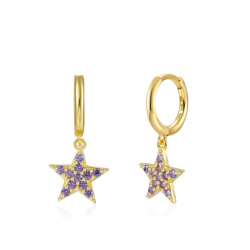 Mallow zircons star hoop earrings